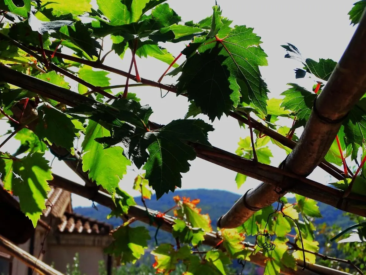 公寓 Le Sorgenti Guest House Ilbono