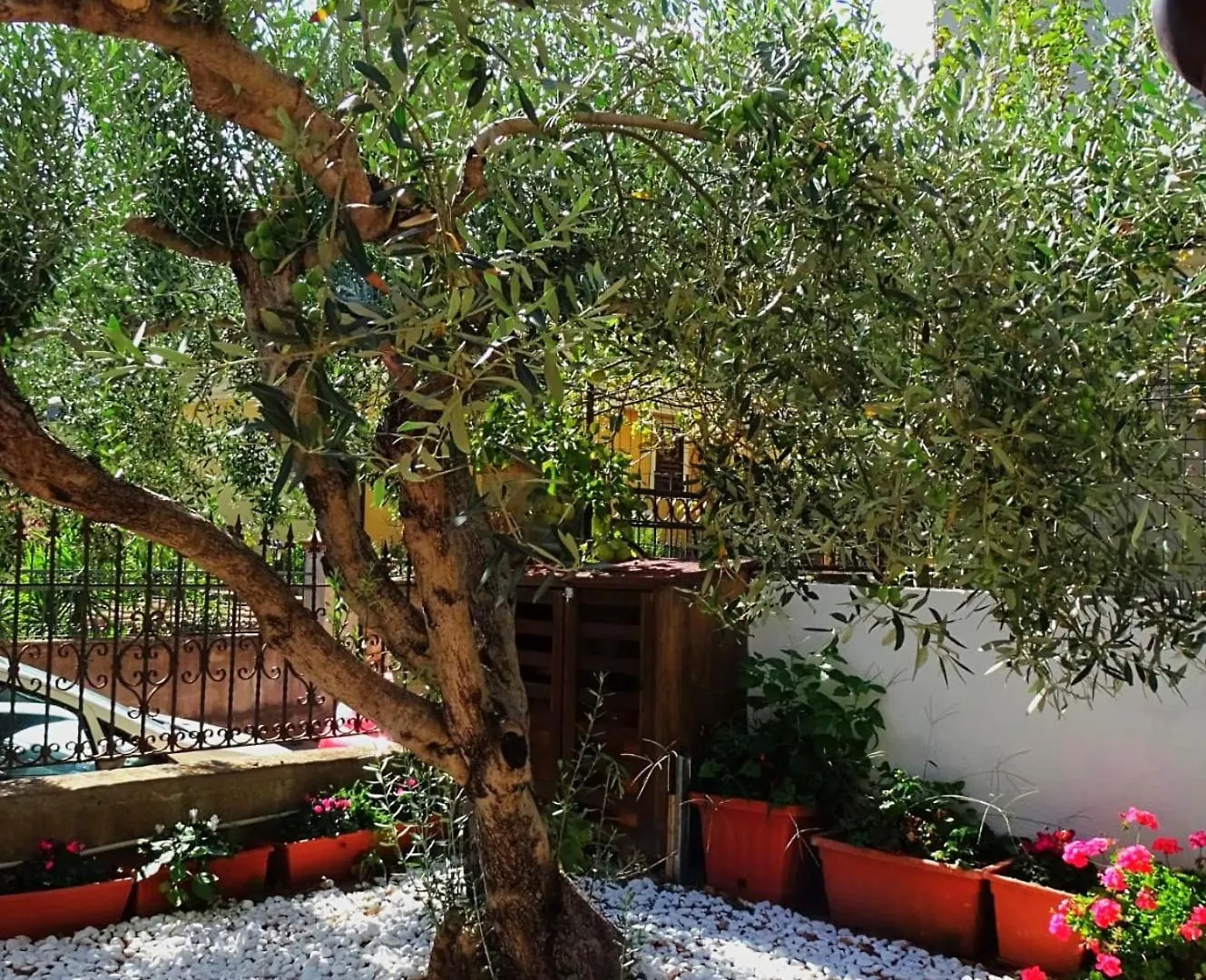 Le Sorgenti Guest House Ilbono
