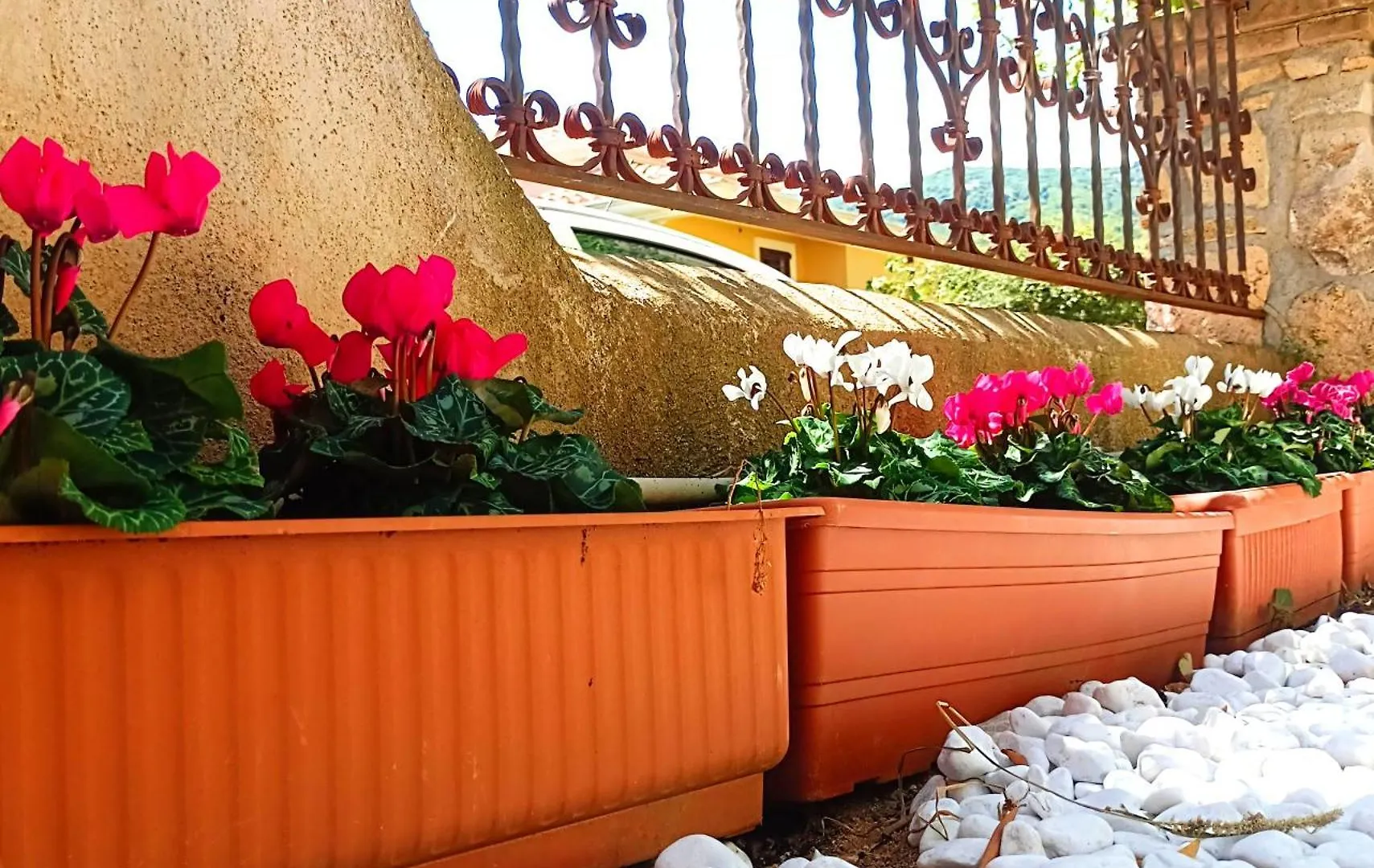 Le Sorgenti Guest House Ilbono 公寓